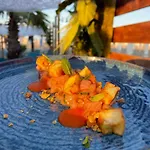 Paradiso Kamp alanı 2*